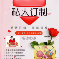猎婚