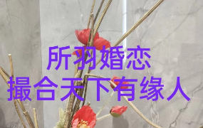 介绍