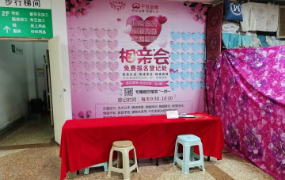 报名